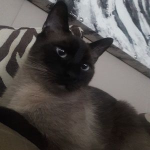 Meet your Posher, Renee